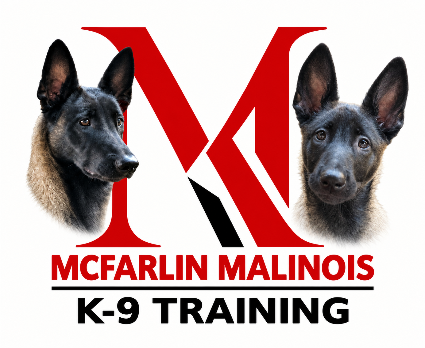 McFarlin Malinois K-9 Training